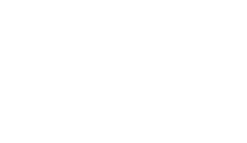 DJI