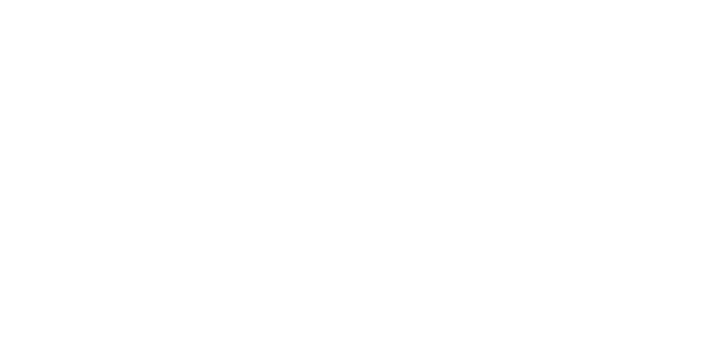 Neewer