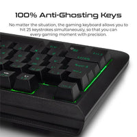Vertux RaidKey Mechanical Gaming Keyboard