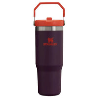 Stanley IceFlow Flip Straw Tumbler