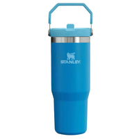 Stanley IceFlow Flip Straw Tumbler