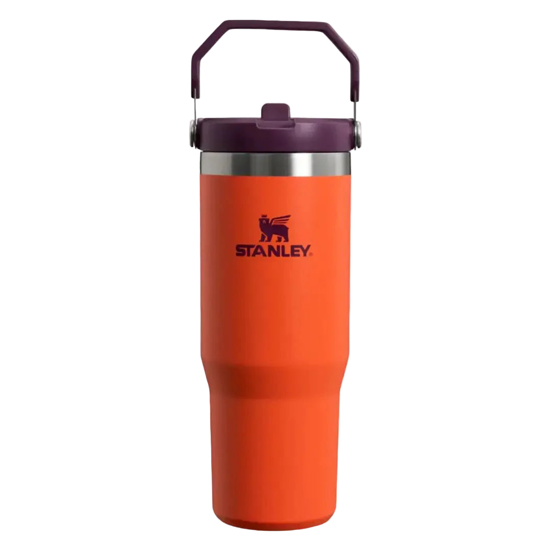 Stanley IceFlow Flip Straw Tumbler
