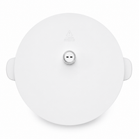 Xiaomi Electric Pressure Cooker 4.8L