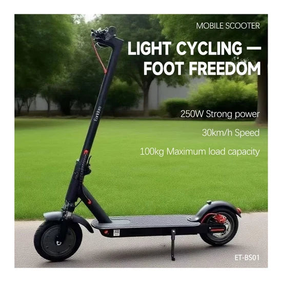 Earldom ET-BS01 250W Foldable Electric Scooter