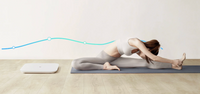 Mi High Precision Smart Scale 2