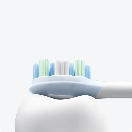 Xiaomi Oscillation Electric Toothbrush
