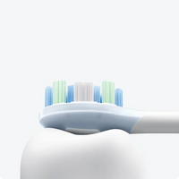 Xiaomi Oscillation Electric Toothbrush