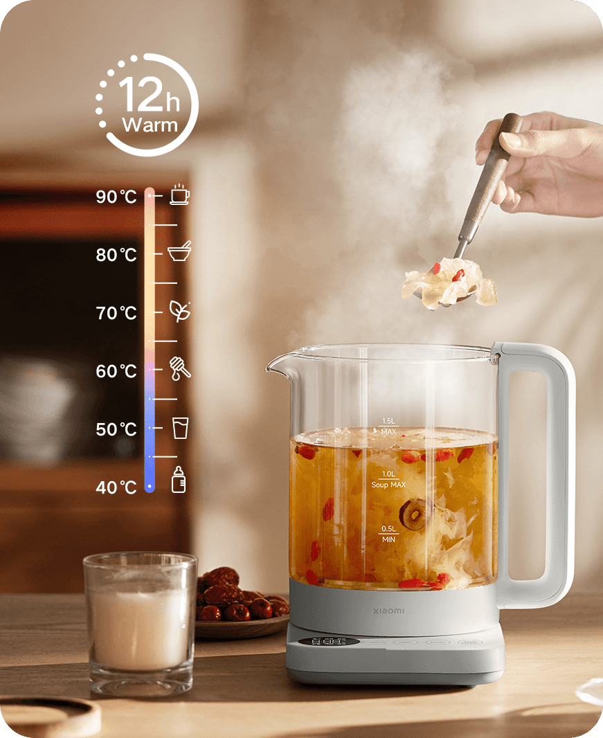 Xiaomi Multifunctional Kettle