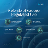 Pawa Revive Cordless Massager with 4 Massage Heads