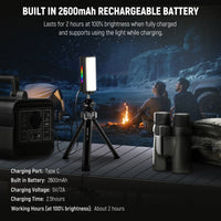Neewer TL97C App LED Light Wand