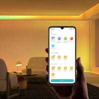 Xiaomi Smart Lightstrip Extension