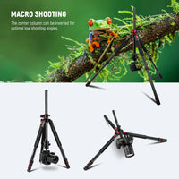 Neewer Multifunctional Aluminium Tripod with Monopod Option