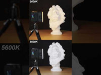 Neewer VL67C App RGB LED Video Light Kit with Phone Clip