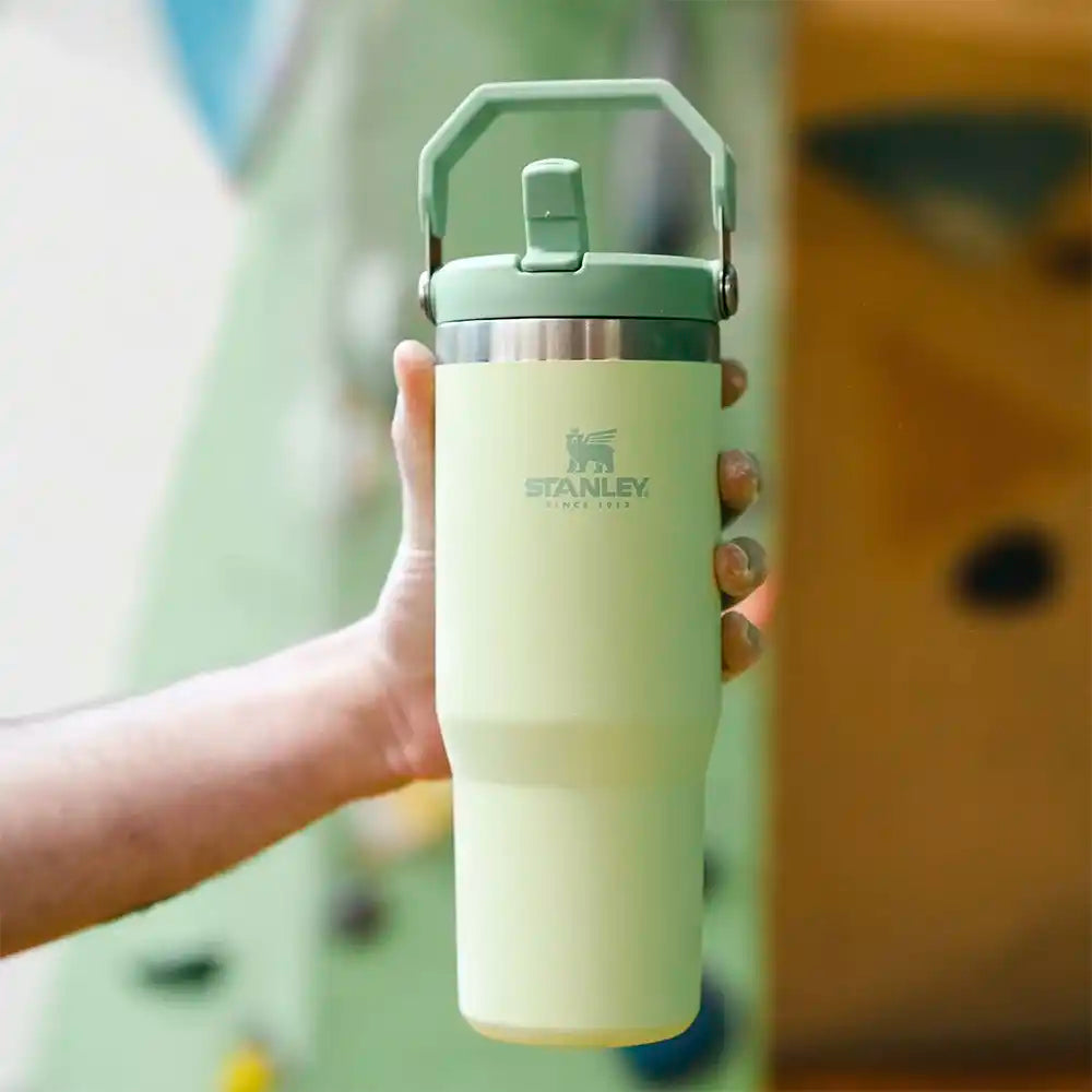 Stanley IceFlow Flip Straw Tumbler - Citron