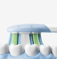 Xiaomi Oscillation Electric Toothbrush Replacement Heads Clean