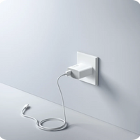 Xiaomi 100W Charging Combo Type-A Wall Charger