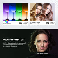 Neewer RGB1200 2-Light LED Video Light Kit with Stands and Bag