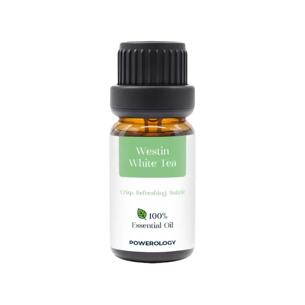 Powerology Essential Oil Set: 5 Fragrance Oils 10ml